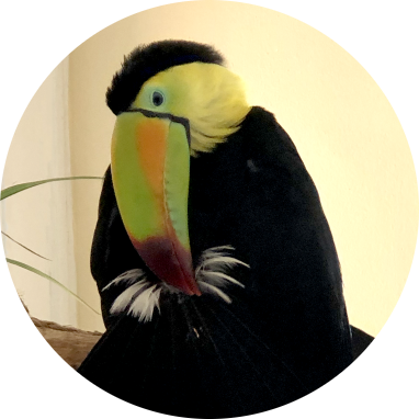 Inside the Lucy Downz Studio