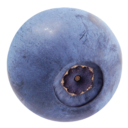 Blueberry-4